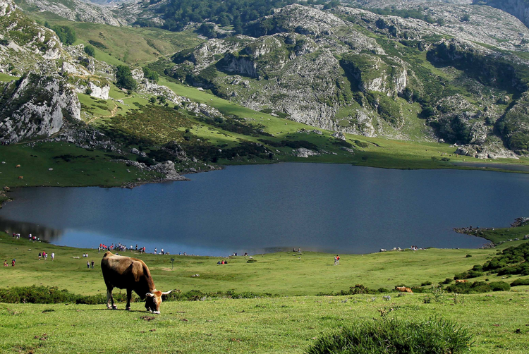 AZZ Hoteles | Sevilla | 15