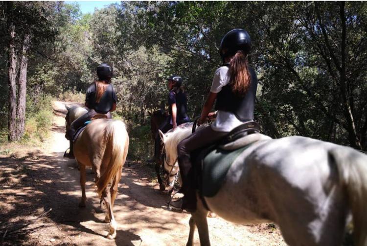 AZZ Hoteles | Sevilla | 2